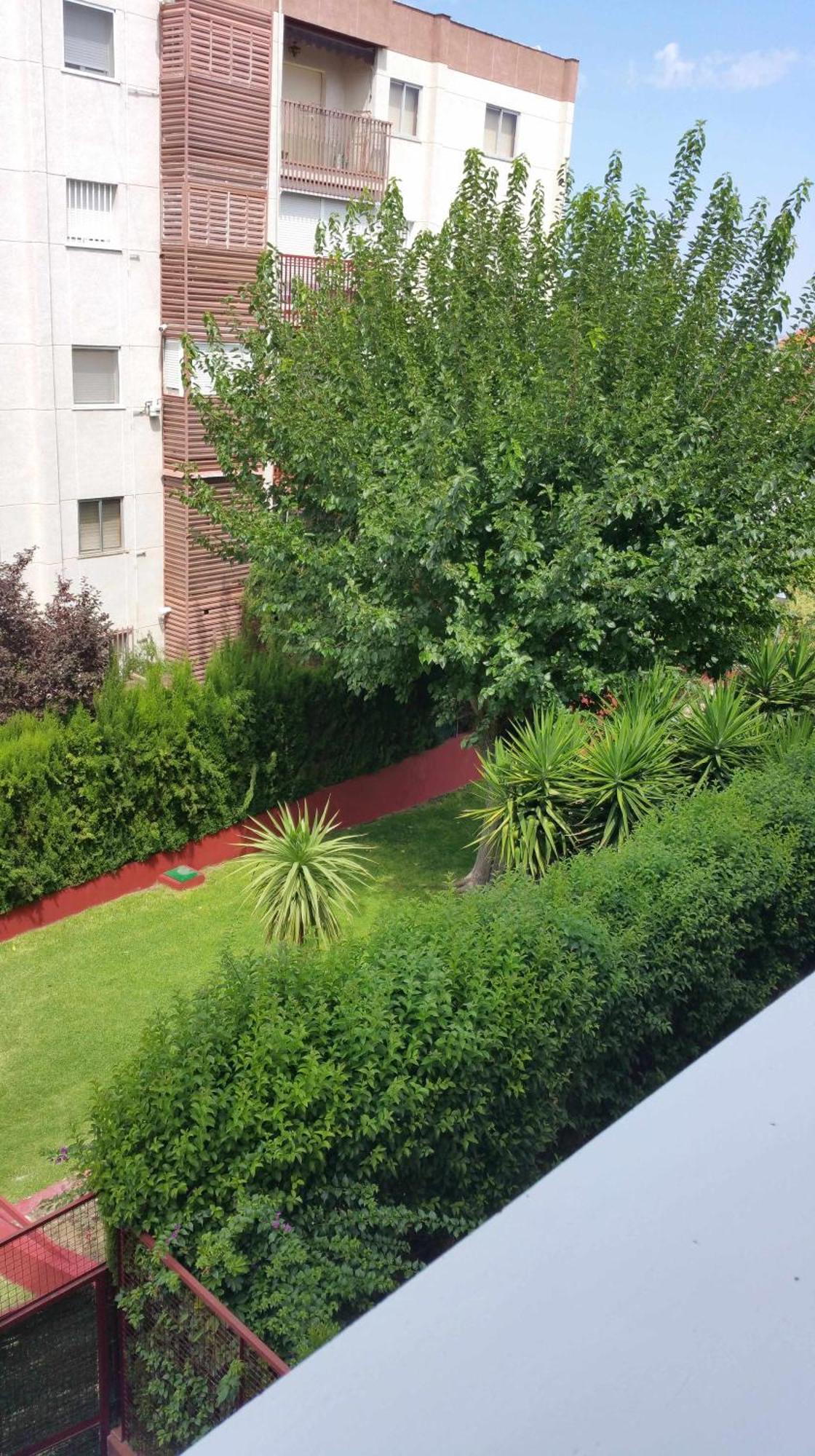 Sauces Parking Gratis Climatizado Apartman Jaén Kültér fotó